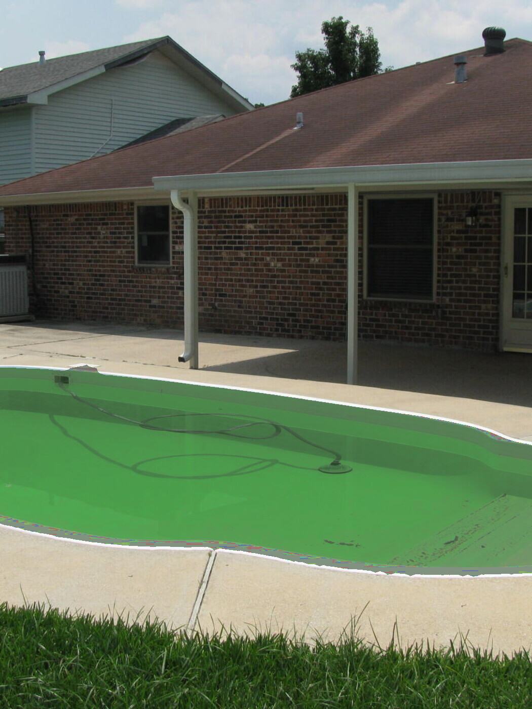 Algae-green, neglected swimming pool before service