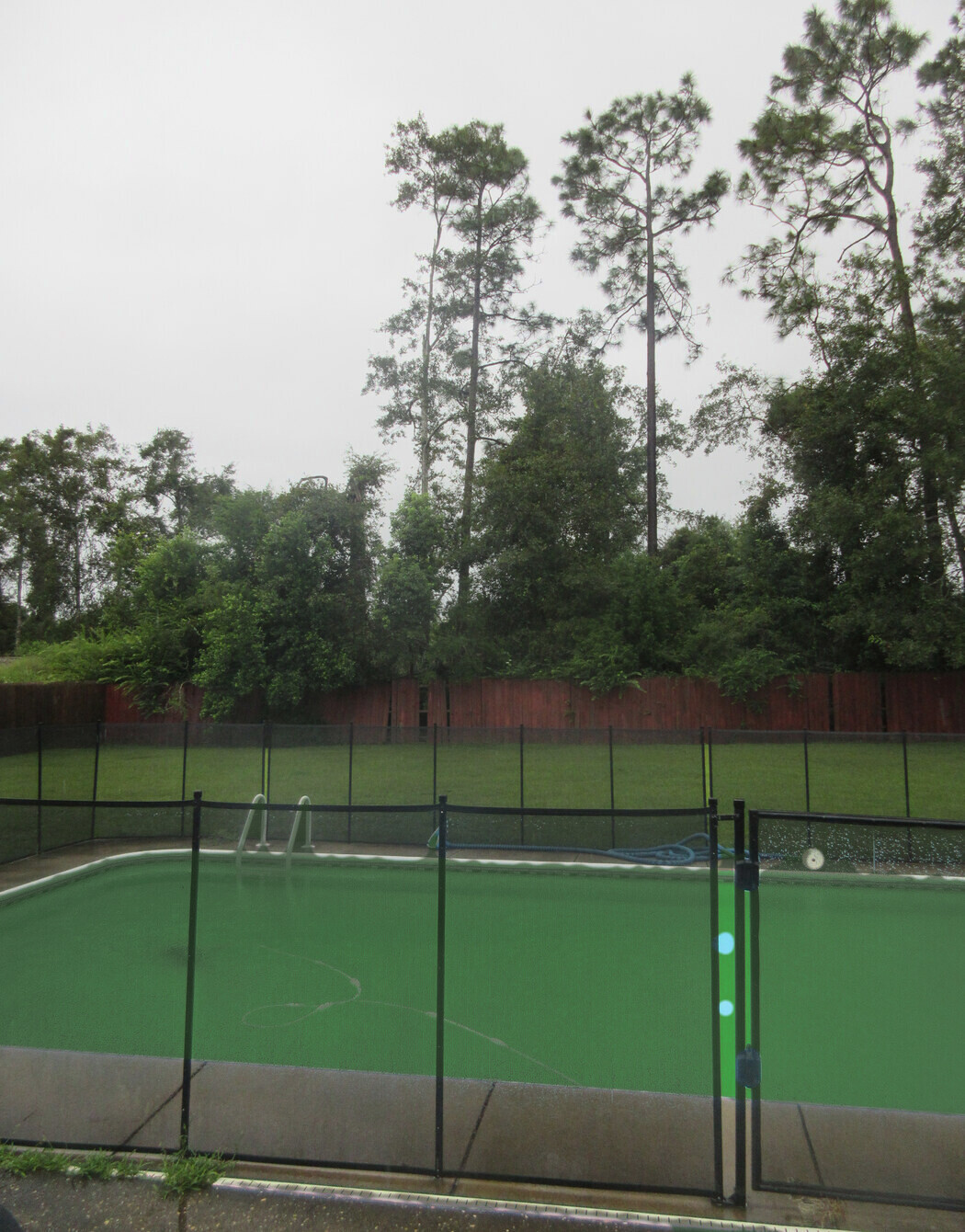 Murky green swimming pool before green-to-clean recovery